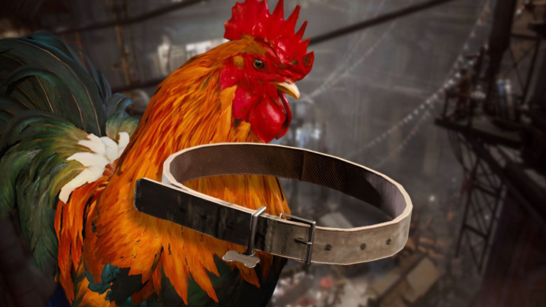 🥉 Level 2 – Forager