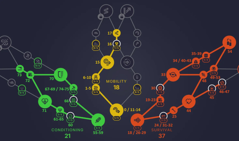 🚀 Recommended Skill Order (Condensed)