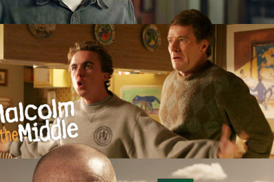 Bryan Cranston appreciation post. 🎭